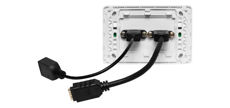 HDMI and USB Type Onnections Wallpalet Dual Cover with Flyleads Clipsal Pro