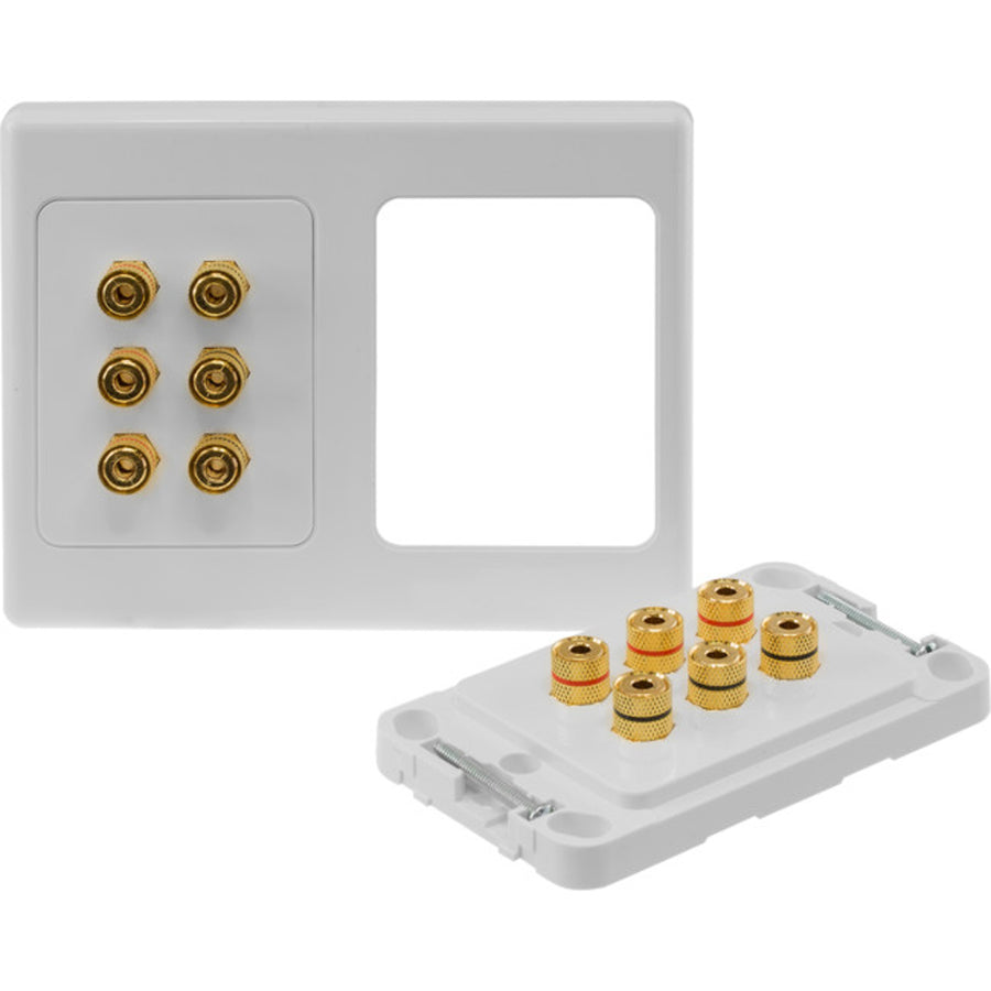 Pro.2 Gold Plated 12 Banana Sockets Terminal Speaker Wall Plate